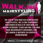 Walk-in Hairstyling